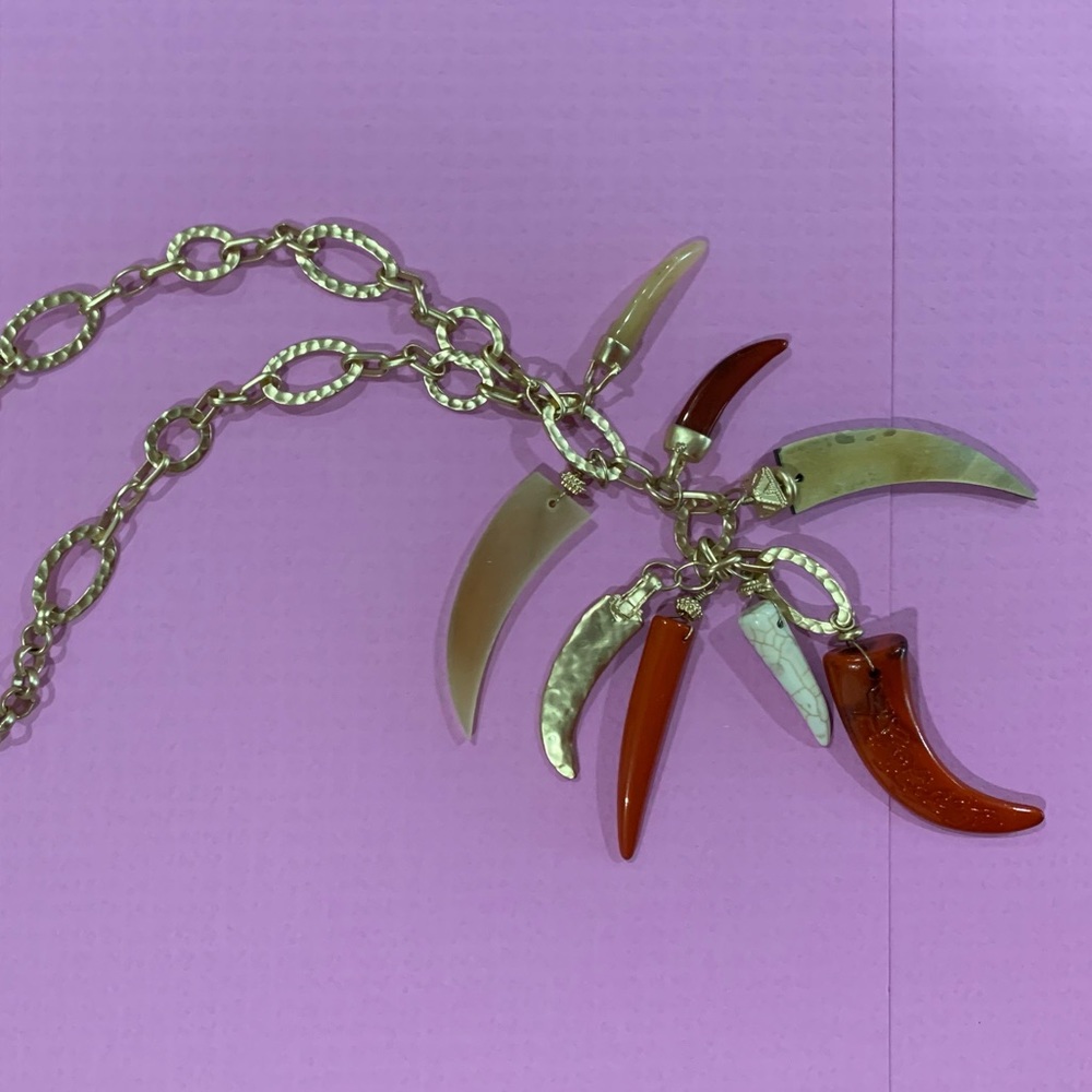 Chico’s 🍒 horns Necklace